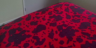 Carl's room