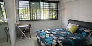 Alfi's room