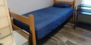 Alan Teiv's room