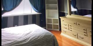Rosa's room