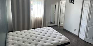 Paul's room