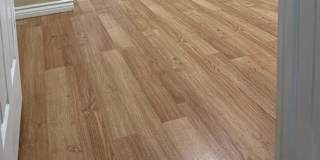 Damini Maisuriya's room