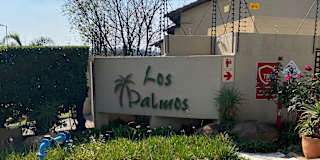 Palesa's room