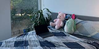 Ashima's room