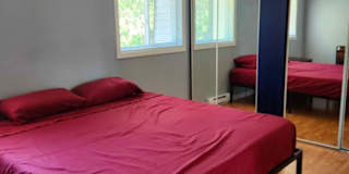 Lou's room