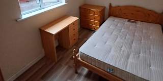 Ellie's room