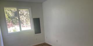 Mitshe Totaan's room