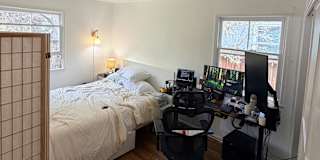 Orly's room