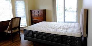 cindy's room