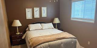 Shawn's room