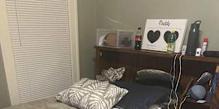 Steve Determan's room