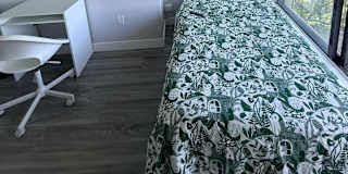 Leo's room