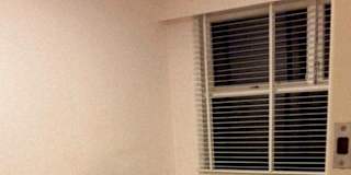 veesa's room