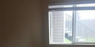 Rose Meadows's room