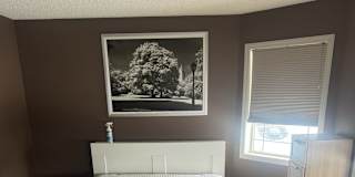 landlord's room