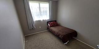 Karl Steer's room
