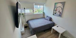 Alona's room