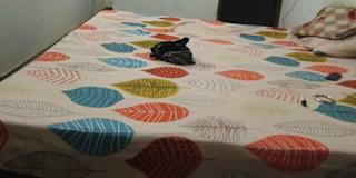 Amanpreet Gill's room