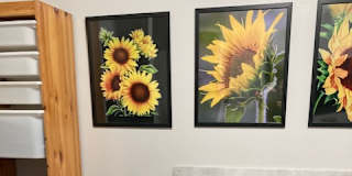Laurie Petersen's room