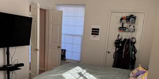 Anna's room