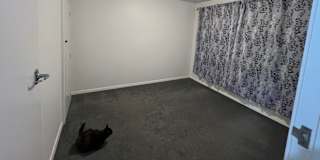 Shannon's room