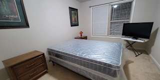 Aliza's room