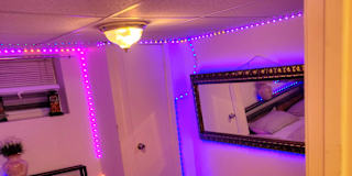 Mich's room