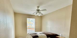 Jenine's room
