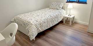 Shahram's room
