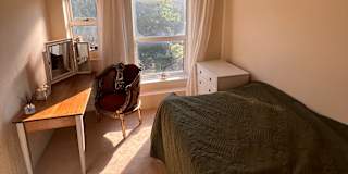 Shannon Wheeler's room