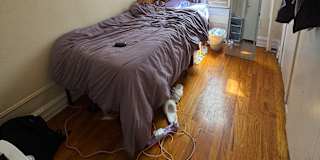 Sanjita's room