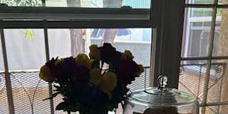 Anthony's room