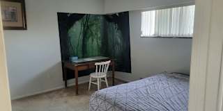 Eddy's room