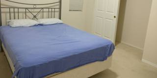 Franny's room