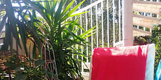 Gladys Itoje's room