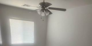 Sophia's room
