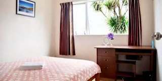 Lily bo's room
