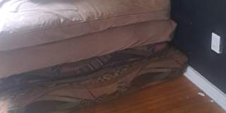 Suzanne Marquis's room