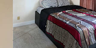 Oyin's room