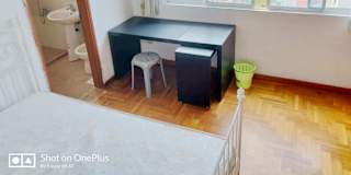 XIN's room
