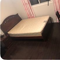 Shuning (Jane) You's room