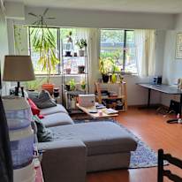 Brandon's room