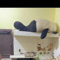Mansi's room