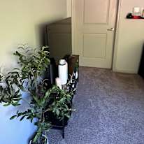 Naomi's room