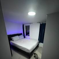 Matt's room