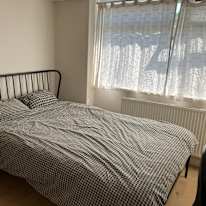 Richard's room