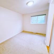 Lily's room