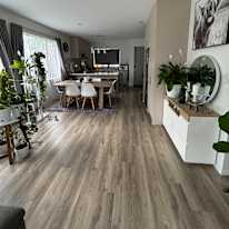 Lou's room