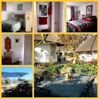 Cecilia's room