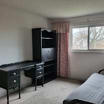 Jolanta's room